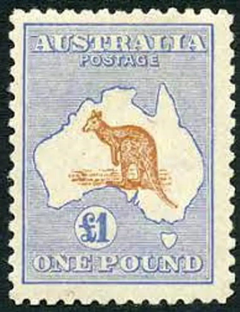 Kangaroo and map